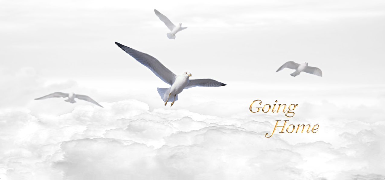 Going Home Clouds White Gold